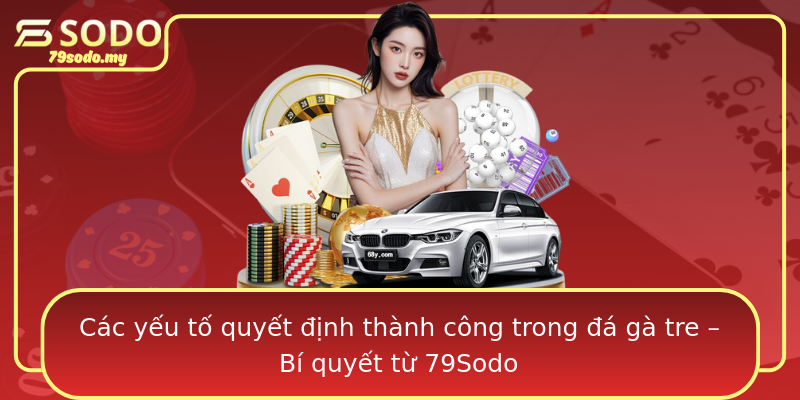 Các yếu tố quyết định thành công trong đá gà tre – Bí quyết từ 79Sodo Các yếu tố quyết định thành công trong đá gà tre – Bí quyết từ 79Sodo